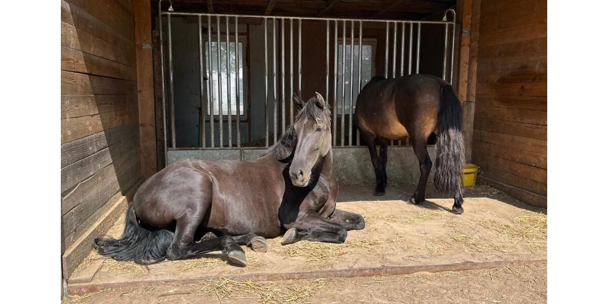 Etagenwohnung Rheinsberg Luhme - 4 Zimmer, 120 m&sup2;, 850&euro; | Angebot:23860491