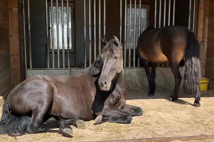 Wohnung Rheinsberg Luhme - 4 Zimmer, 120 m&sup2;, 850&euro; | Angebot:23860491