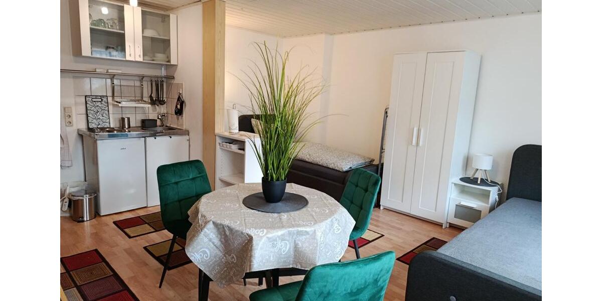 Wohnen auf Zeit Freiberg - 1 Zimmer, 28 m&sup2;, 600&euro; | Angebot:23804237