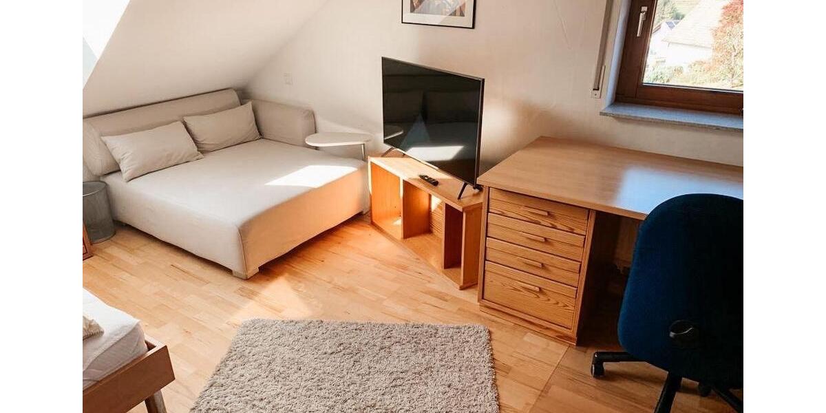 Wohnen auf Zeit Schiltach - 2 Zimmer, 100 m&sup2;, 450&euro; | Angebot:23752790