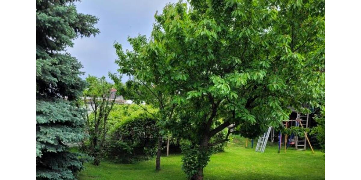 Erdgeschoßwohnung Konstanz Konstanz-Fürstenberg - 2 Zimmer, 24 m&sup2;, 420&euro; | Angebot:24850518