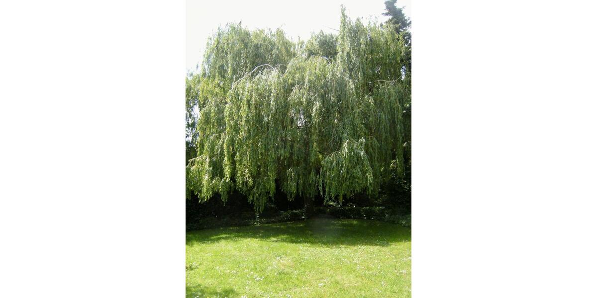 Einfamilienhaus Nottuln - 1.590&euro; | Angebot:25022700