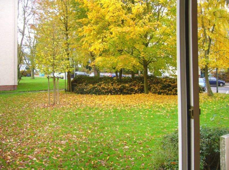 Etagenwohnung Frankfurt am Main Sossenheim - 3 Zimmer, 67 m&sup2;, 952&euro; | Angebot:25155030