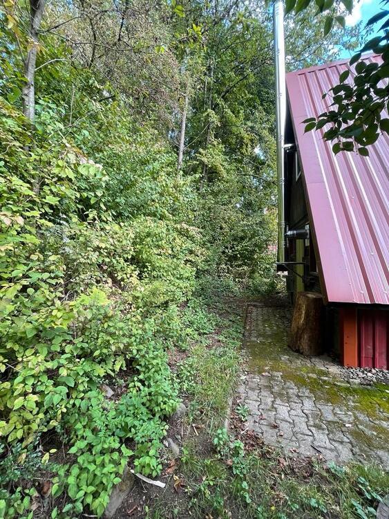 Gemütliches Spitzdach Haus mit Garten am Waldrand