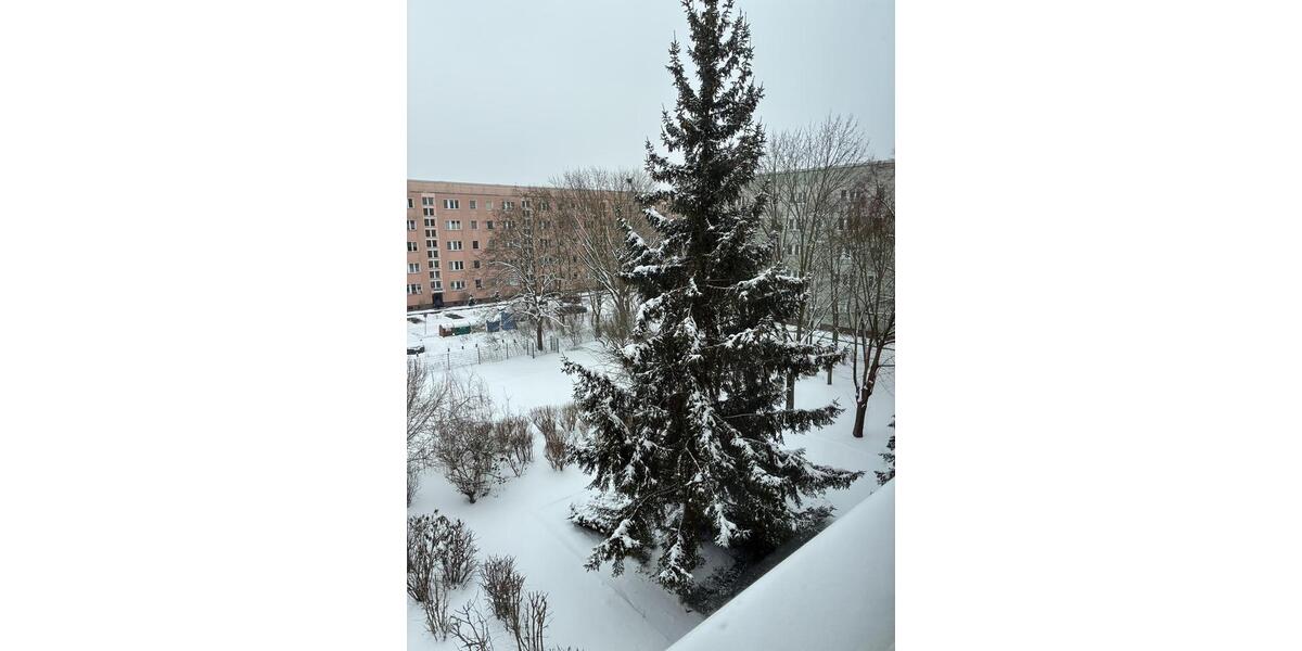 Wohnen auf Zeit Dessau-Roßlau Dessau - 1 Zimmer, 25 m&sup2;, 225&euro; | Angebot:24003069