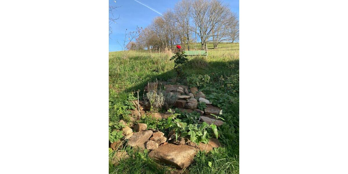 Dachgeschoßwohnung Klingenberg - 3 Zimmer, 75 m&sup2;, 375&euro; | Angebot:25309794