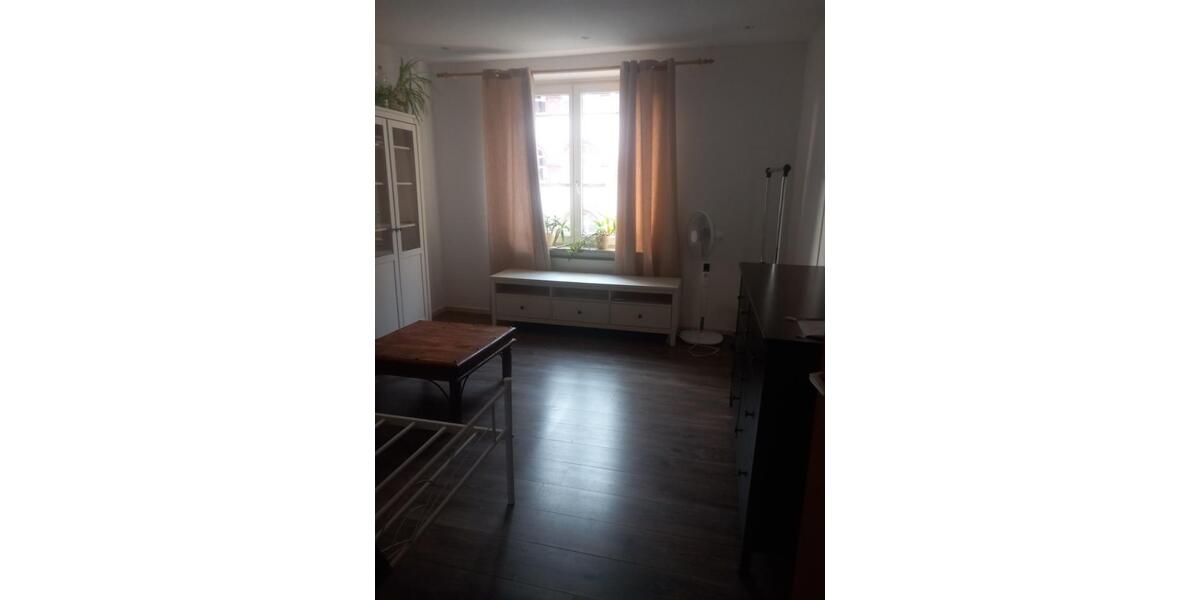 Wohnen auf Zeit Freiburg im Breisgau Brühl - 1 Zimmer, 25 m&sup2;, 600&euro; | Angebot:24240195