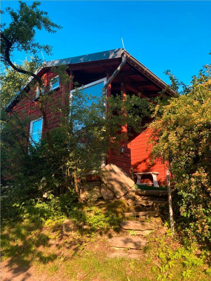Urlaub auf dem Bauernhof