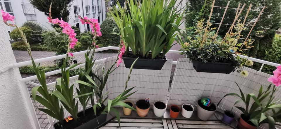 Hochparterre Wiesbaden Südost - 2 Zimmer, 61 m&sup2;, 854&euro; | Angebot:26652232