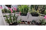 Hochparterre Wiesbaden Südost - 2 Zimmer, 61 m&sup2;, 854&euro; | Angebot:26652232
