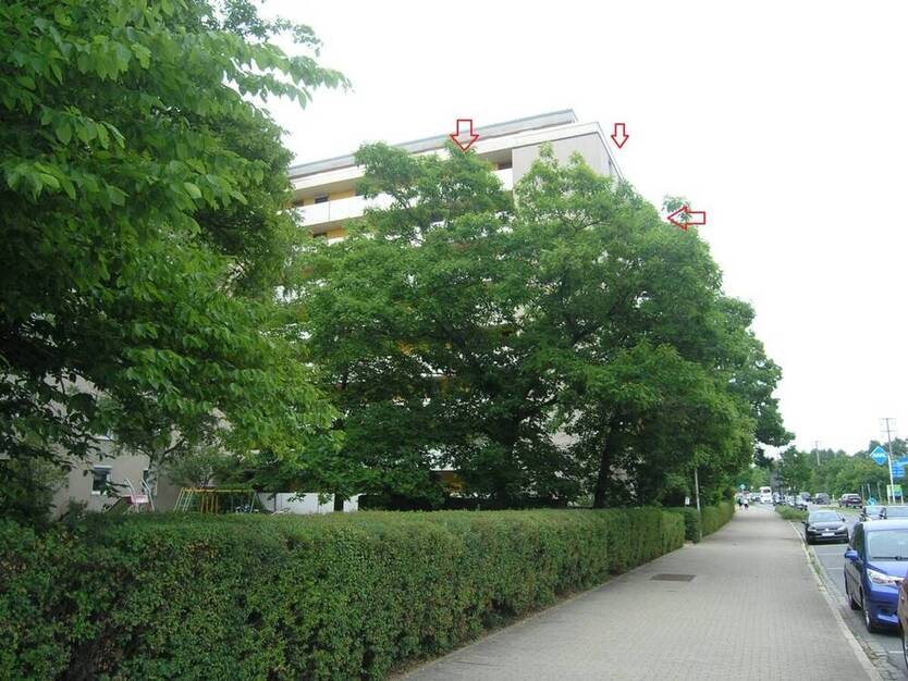 3-Zimmer-Wohnung in Aussichtslage mit Loggia -für 1-2 Personen geeignet-