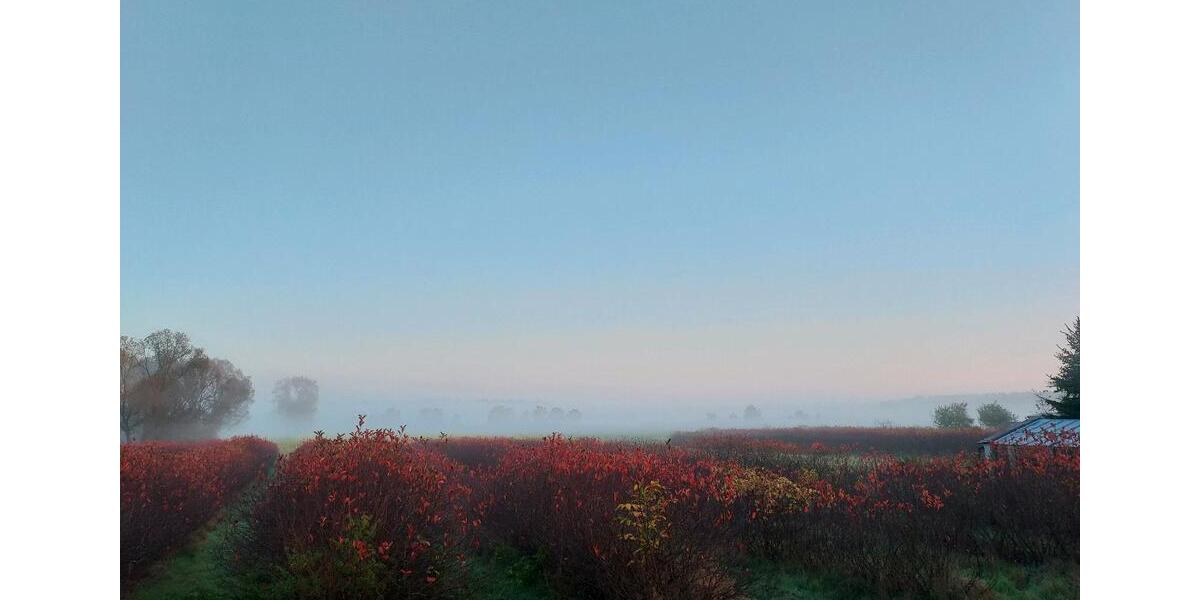 Maisonettenwohnung Kolkwitz - 3 Zimmer, 50 m&sup2;, 995&euro; | Angebot:25292704