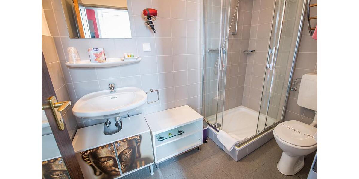 Wohnen auf Zeit Koblenz - 1 Zimmer, 35 m&sup2;, 1.260&euro; | Angebot:14028698