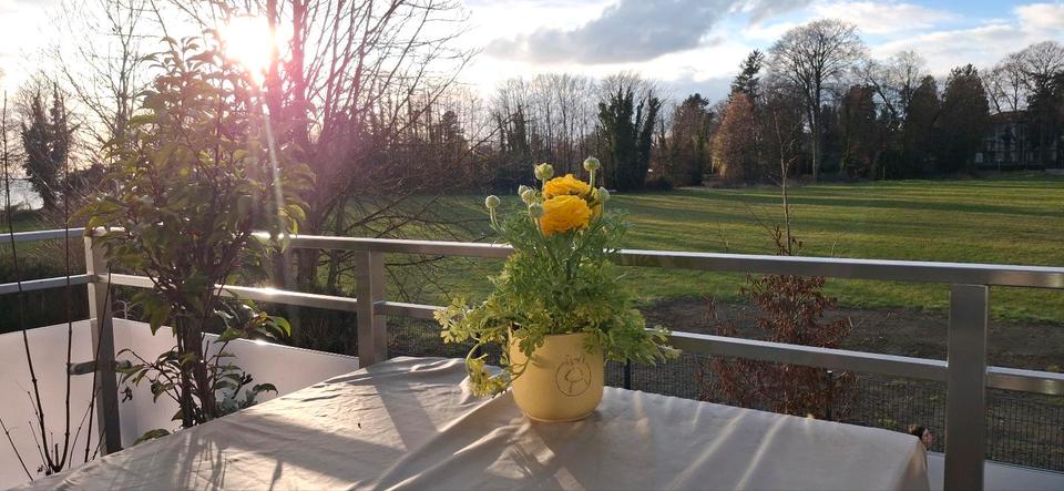 Etagenwohnung Friedrichshafen Allmannsweiler - 2 Zimmer, 64 m&sup2;, 2.200&euro; | Angebot:25978992