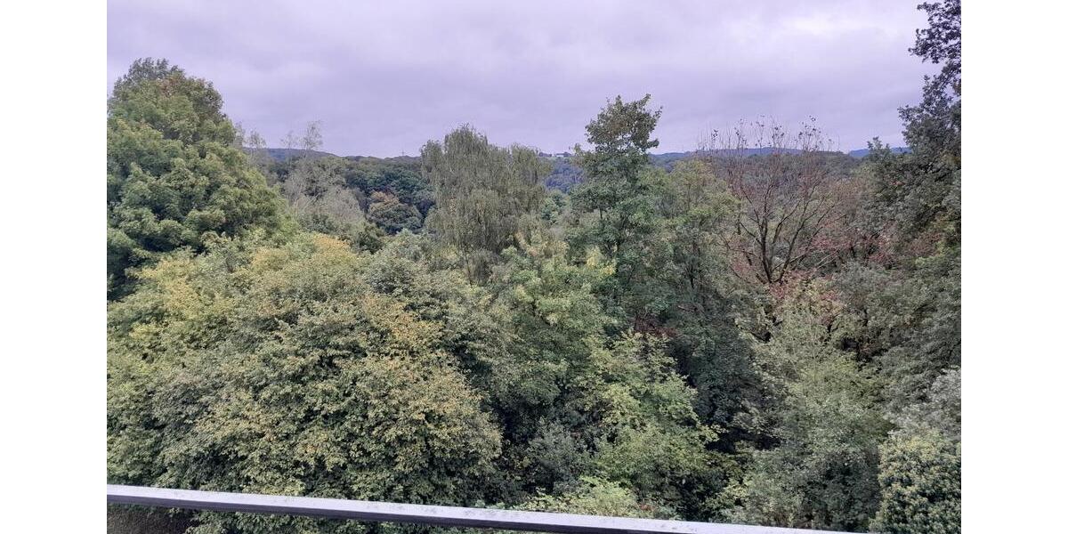 reizende, moderne 1 Zimmerwohnung in Vallendar mit Balkon 1 zimmer