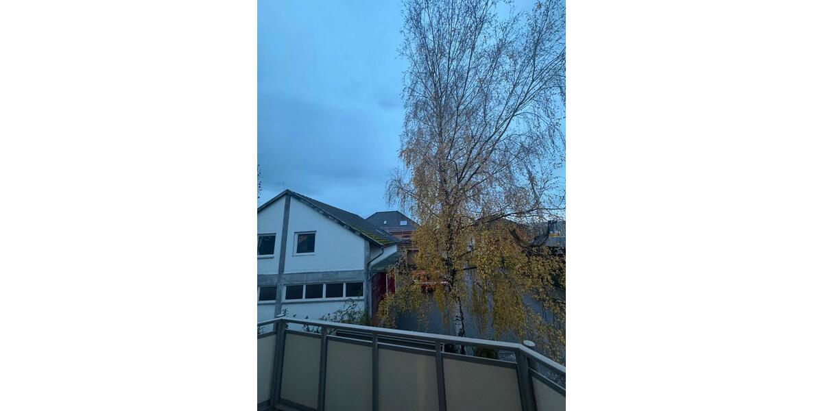 Erdgeschoßwohnung Braunschweig Wabe-Schunter-Beberbach - 3 Zimmer, 74 m&sup2;, 695&euro; | Angebot:26504134
