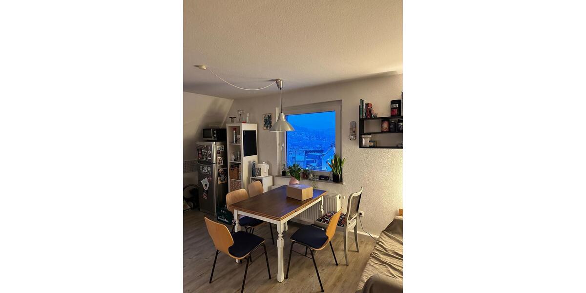 Wohnen auf Zeit Siegen Kaan-Marienborn - 1 Zimmer, 20 m&sup2;, 389&euro; | Angebot:26244039