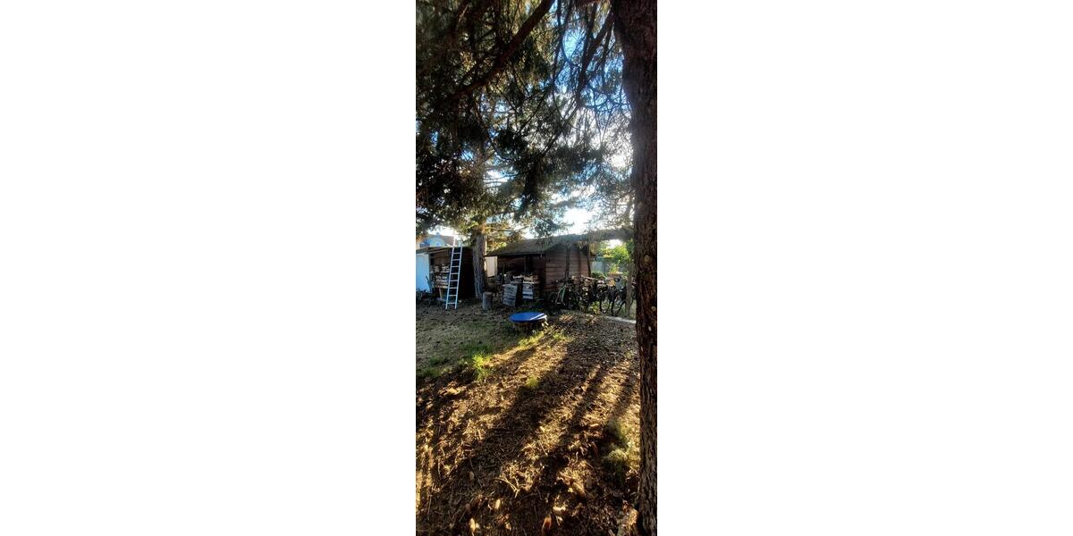 Wohnen auf Zeit Mannheim Gartenstadt - 2 Zimmer, 23 m&sup2;, 600&euro; | Angebot:26395640