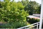 Helle 2,5 Zi-Komfortwohnung in ruhiger Lage, großer Sonnenbalkon, nahe Innenstadt - Etagenwohnung Bochum Innenstadt | Angebot:27567596
