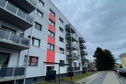 Wohnung zum Mieten in Bad Düben 255 € 34 m² 1 zimmer