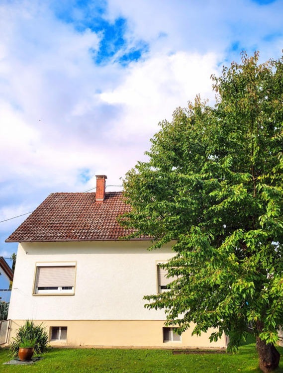 Einfamilienhaus mit großem Grundstück zu vermieten