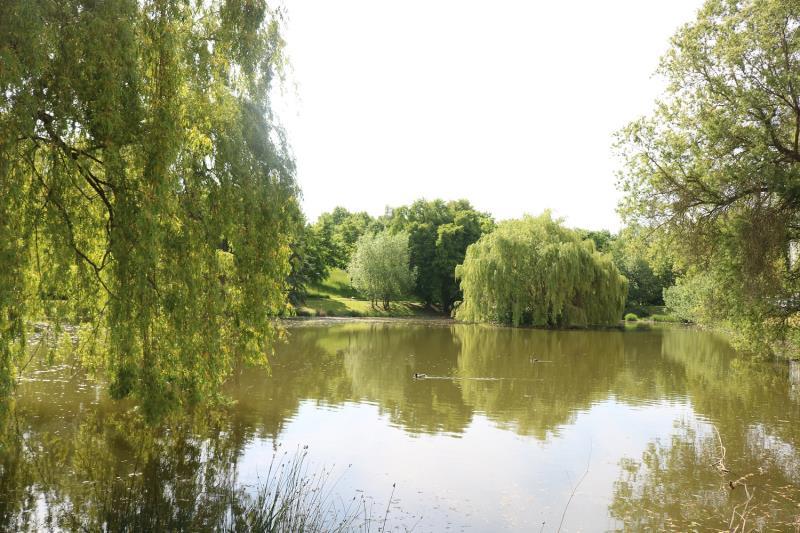 Etagenwohnung Pößneck - 4 Zimmer, 67 m&sup2;, 440&euro; | Angebot:24213758