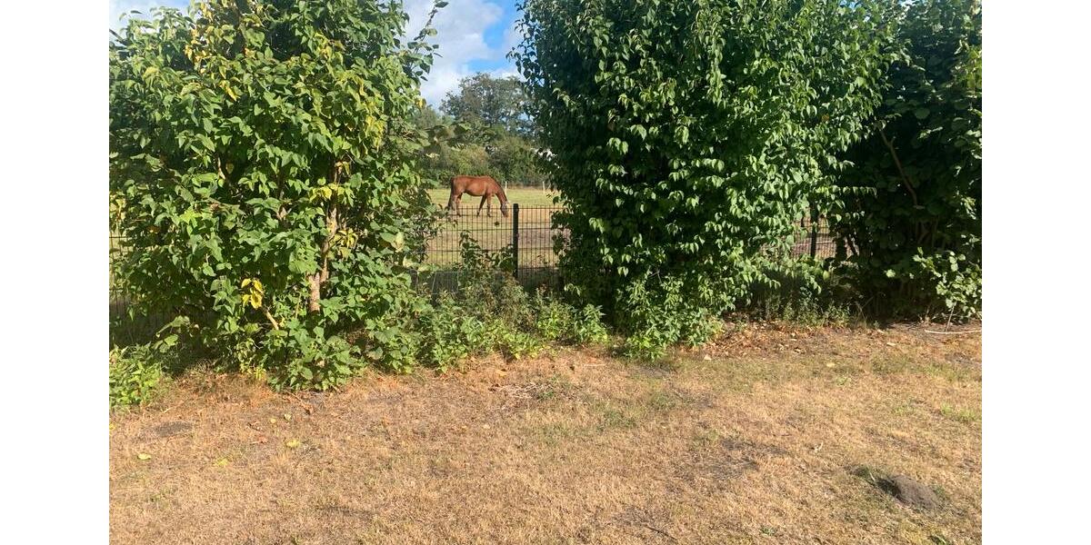 Etagenwohnung Gifhorn - 5 Zimmer, 125 m&sup2;, 1.125&euro; | Angebot:24371507