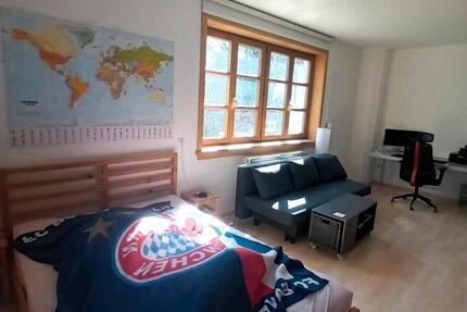 Wohnen auf Zeit Freising Am Vogelherd - 1 Zimmer, 27 m&sup2;, 350&euro; | Angebot:25660297