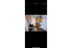 Wohnen auf Zeit Mannheim Gartenstadt - 15 Zimmer, 45 m&sup2;, 420&euro; | Angebot:26553501