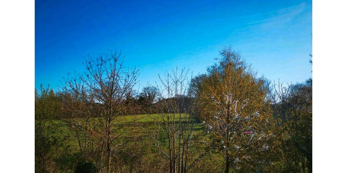 Dachgeschoßwohnung Kappeln - 1 Zimmer, 48 m&sup2;, 655&euro; | Angebot:26232139