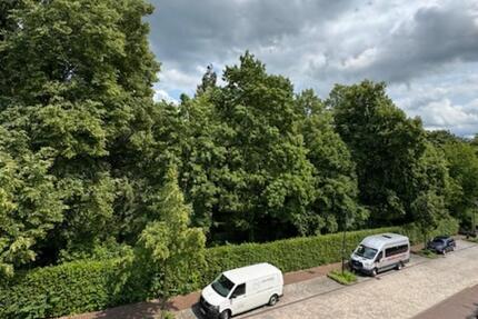 Schöne helle 3,5 Zimmer Wohnung mit Balkon am Stadtpark 3 zimmer