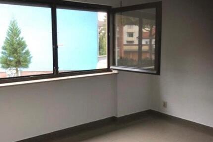 Wohnung Haßloch - 1 Zimmer, 21 m&sup2;, 260&euro; | Angebot:25362443