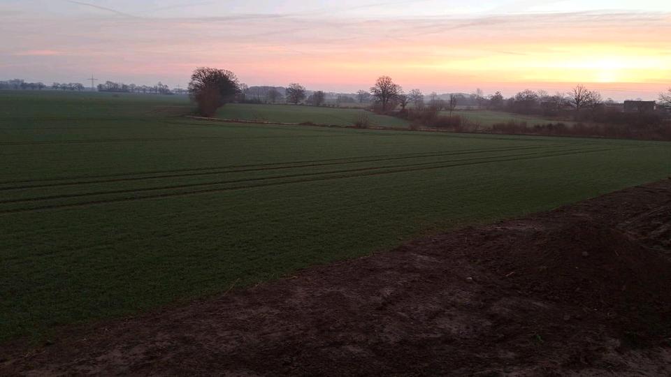 Neubau Erstbezug 7 freie Reihenhäuser an Feldrandlage 4 zimmer