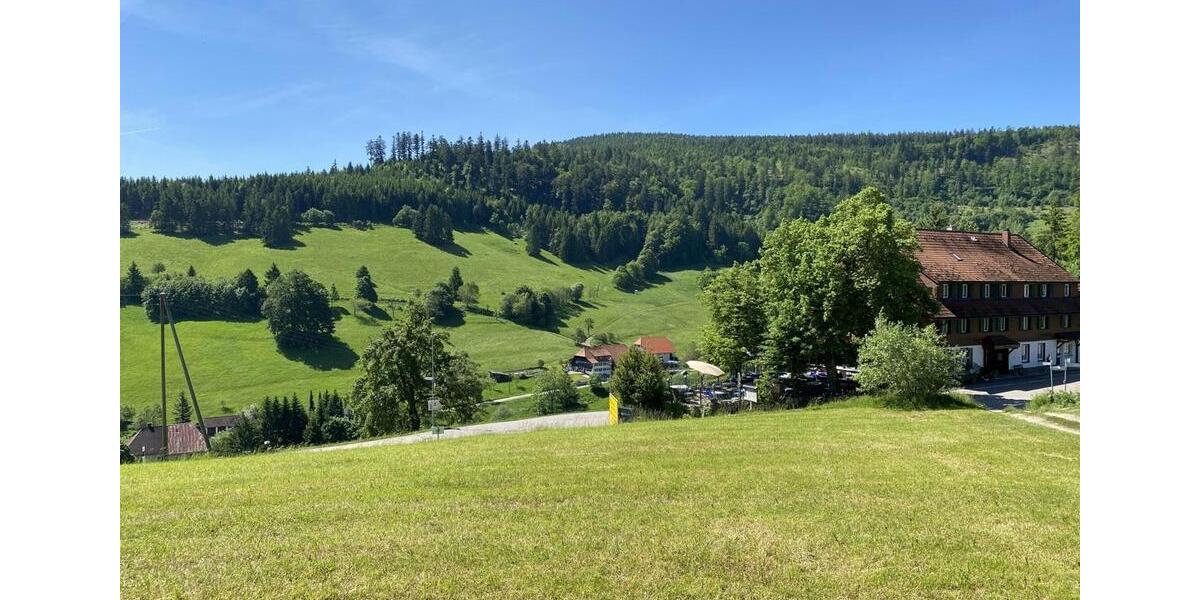 Gewerbeobjekt Kleines Wiesental - 5.000&euro; | Angebot:24154604