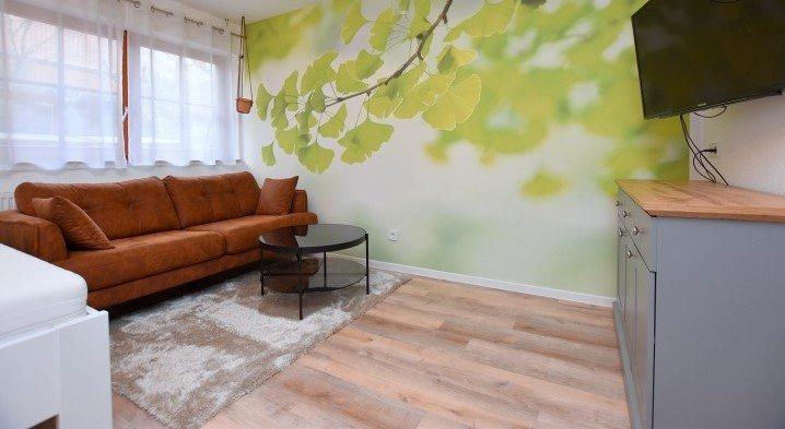 Etagenwohnung Leonberg - 1 Zimmer, 24 m&sup2;, 700&euro; | Angebot:26546746