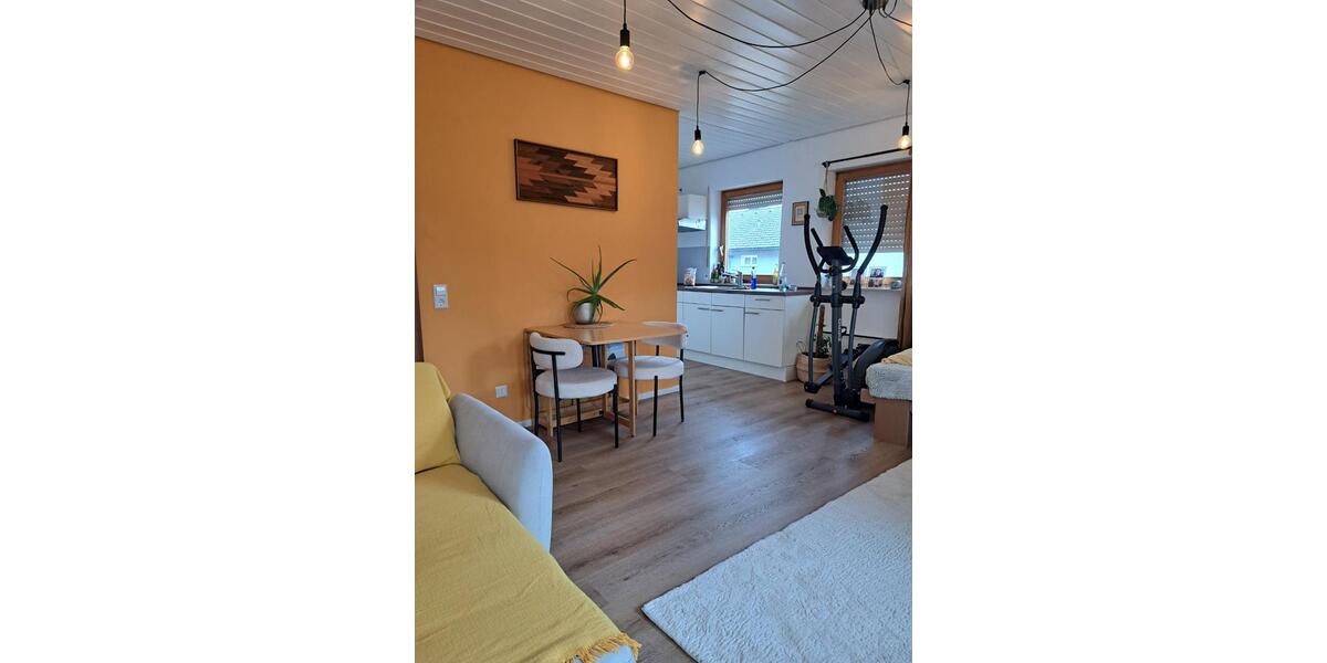 Wohnen auf Zeit Eisenbach (Hochschwarzwald) - 1 Zimmer, 30 m&sup2;, 600&euro; | Angebot:25677541