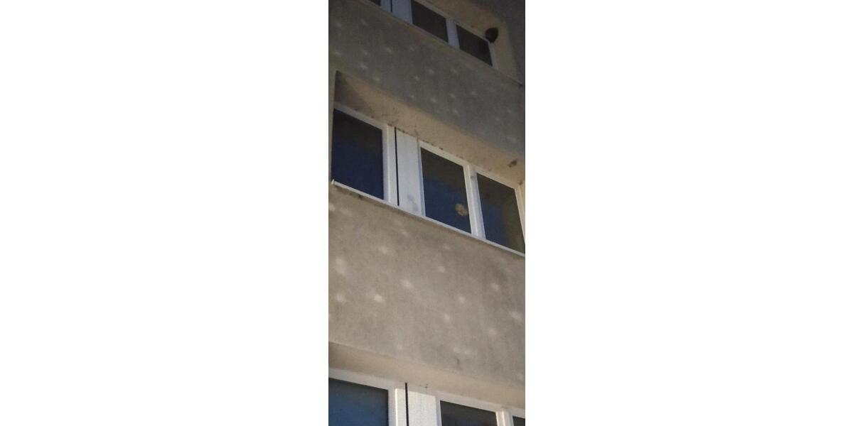 Etagenwohnung Südliches Anhalt Pfaffendorf - 2 Zimmer, 55 m&sup2;, 370&euro; | Angebot:24685276