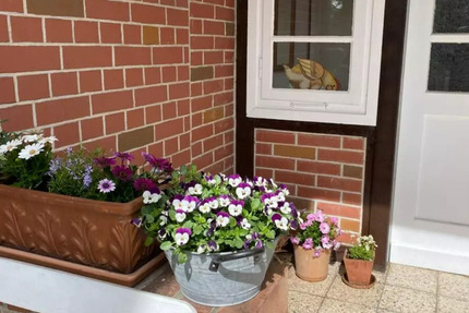 Wohnen auf Zeit Uetze - 2 Zimmer, 75 m&sup2;, 55&euro; | Angebot:24517049