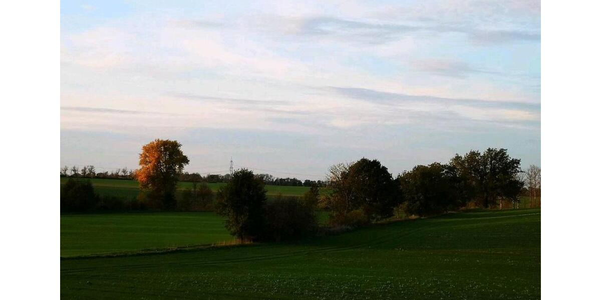 Etagenwohnung Lommatzsch - 5 Zimmer, 100 m&sup2;, 500&euro; | Angebot:9074918