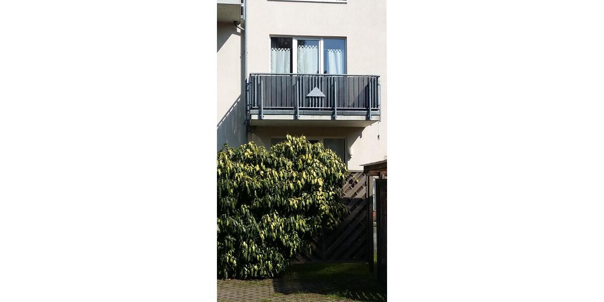 2-Zimmer Wohnung in Greifswald, 1.5 zimmer