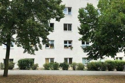 3 Raumwohnung im Stadtzentrum von Pasewalk (53617) 3 zimmer