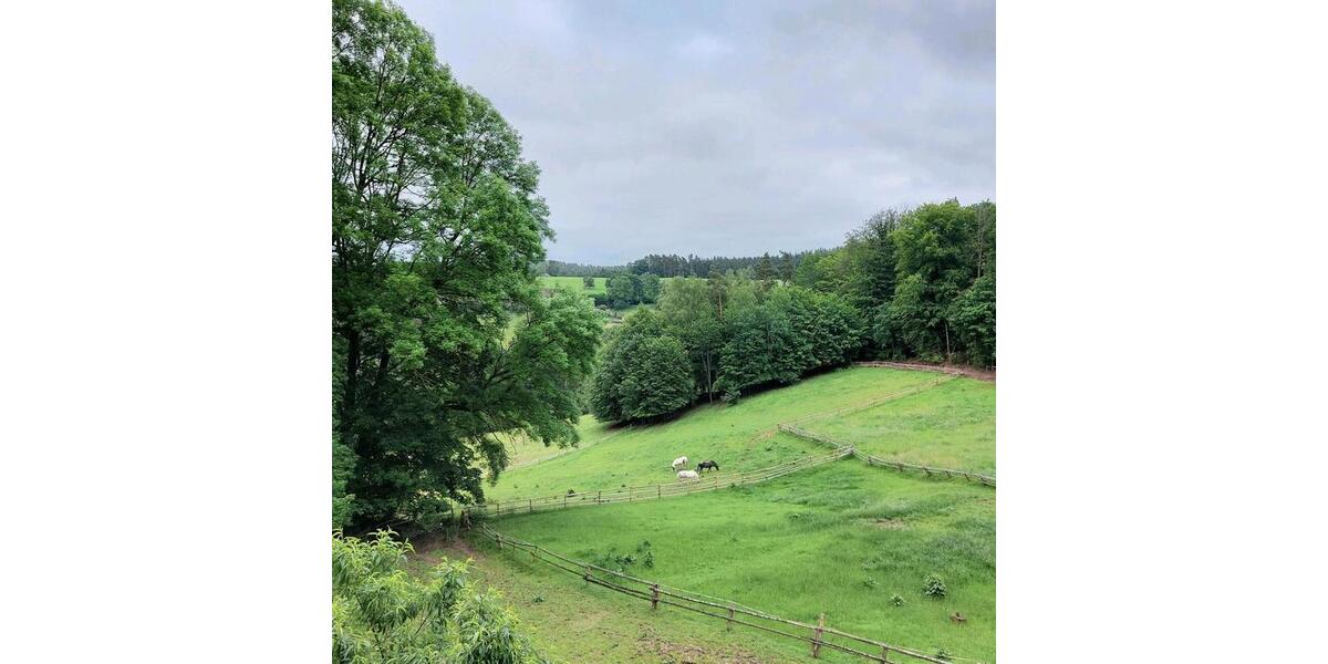 möblierte Wohnung im Grünen 2 zimmer