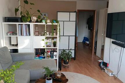 Helle 1 Z. Wohnung in Weinböhla - Küche inklusive - ab sofort! 1 zimmer