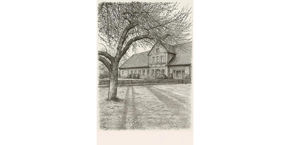 Erdgeschoßwohnung Suderburg - 5 Zimmer, 250 m&sup2;, 500&euro; | Angebot:19719189