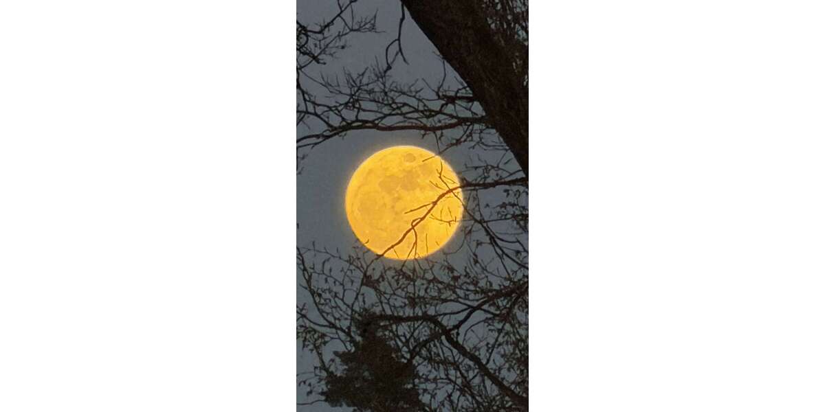 Etagenwohnung Schwarzenbruck - 2.5 Zimmer, 90 m&sup2;, 990&euro; | Angebot:24336621