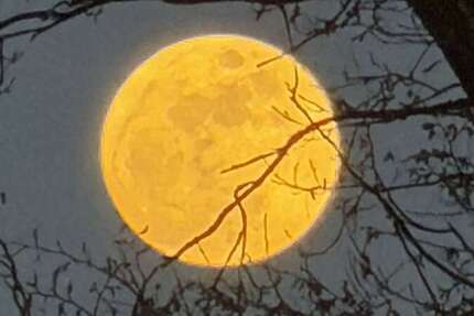 Wohnung Schwarzenbruck - 2.5 Zimmer, 90 m&sup2;, 990&euro; | Angebot:24336621