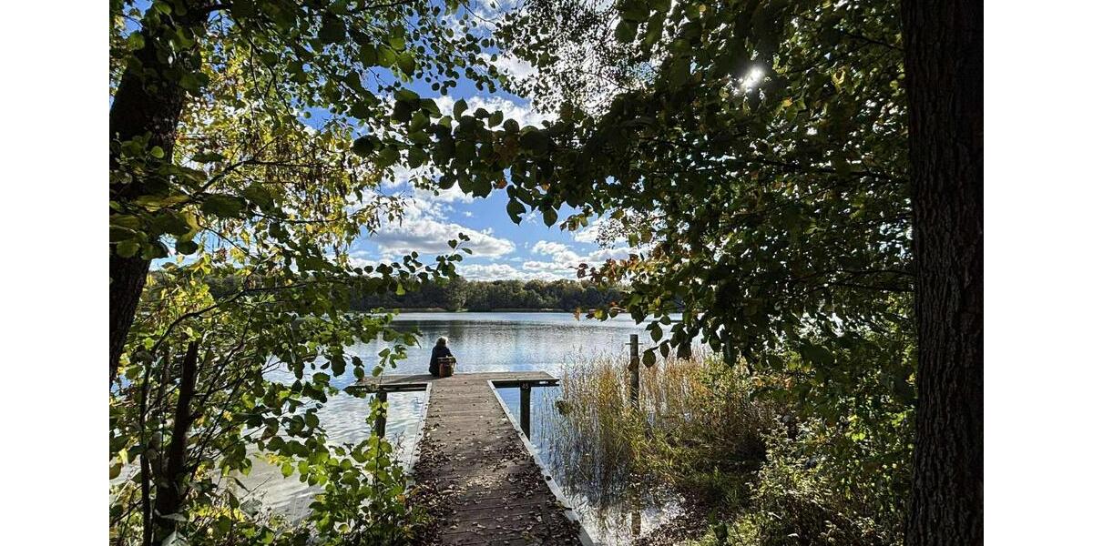 Wunderschöne 5 Zimmerwohnung in Strausberg Altstadt zu vermieten 5 zimmer