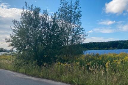 Gewerbegrundstück, 1.474qm MietePacht 15848 Alt Golm, BSK, FW zimmer