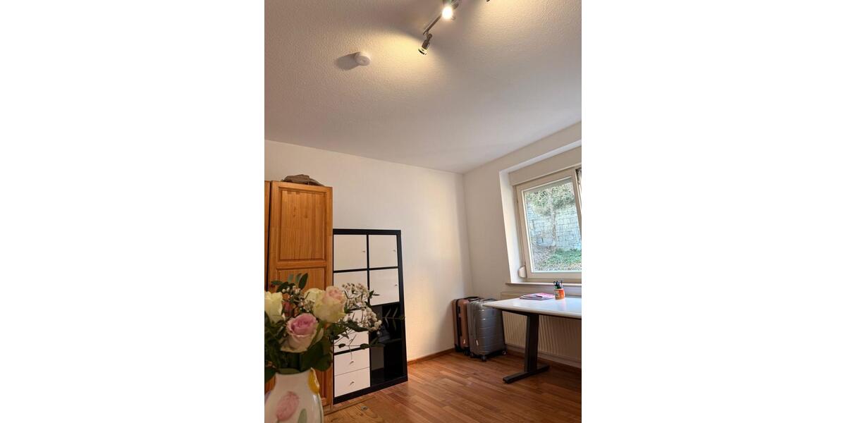 Wohnen auf Zeit Horb am Neckar - 1 Zimmer, 18 m&sup2;, 390&euro; | Angebot:25894003