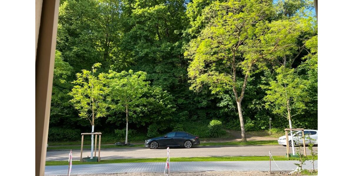 Wohnen auf Zeit Freiburg im Breisgau Oberau - 1 Zimmer, 11 m&sup2;, 740&euro; | Angebot:26594586